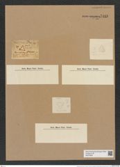 Triceratium atomus Grev. (de-Toni-Nr.: Genus 140, Species 4016) Zeichnungen Sammlung Grunow Nr. 7488 (NHMW-BOT-W0376606)